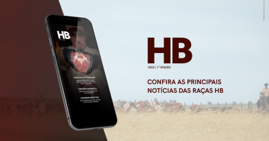 ABHB lança a primeira edição da Revista HB 2022